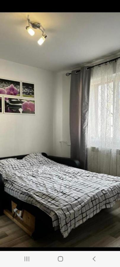 Zenapartment Brasov Exterior photo